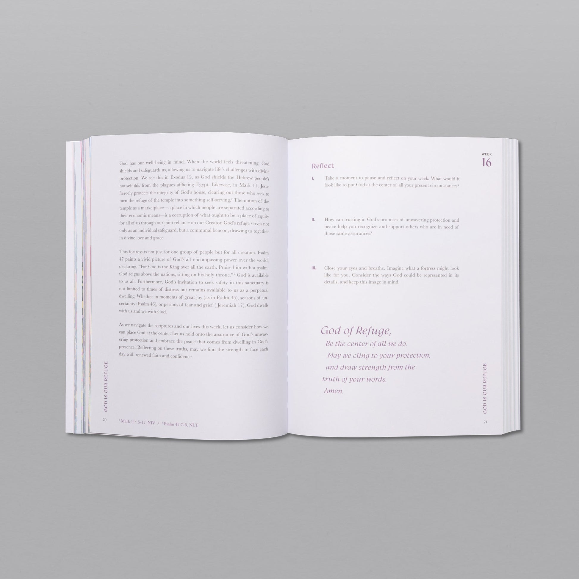 ✝A Beautiful Year in the Bible: The 52-Week Bible Study for Women