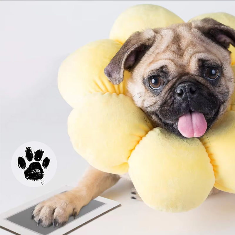 💖HOT SALE 49% OFF🐶🐱Pet Paw Printing Kit