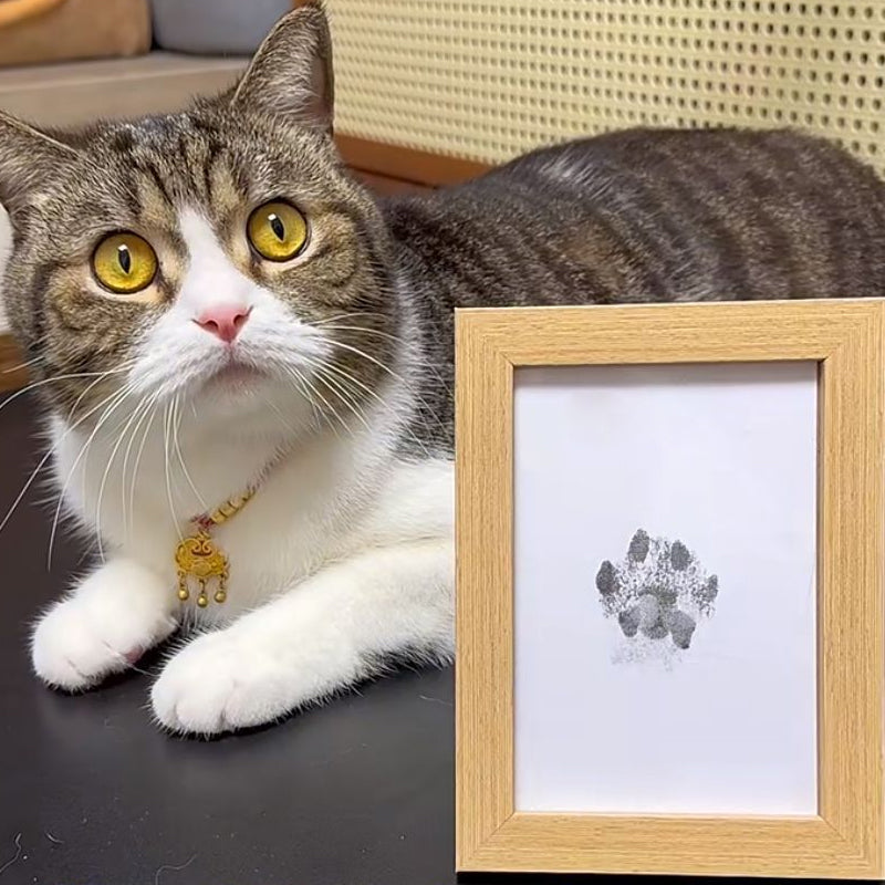 💖HOT SALE 49% OFF🐶🐱Pet Paw Printing Kit