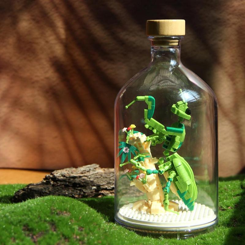 Insect Collection Building Blocks with Display Bottle