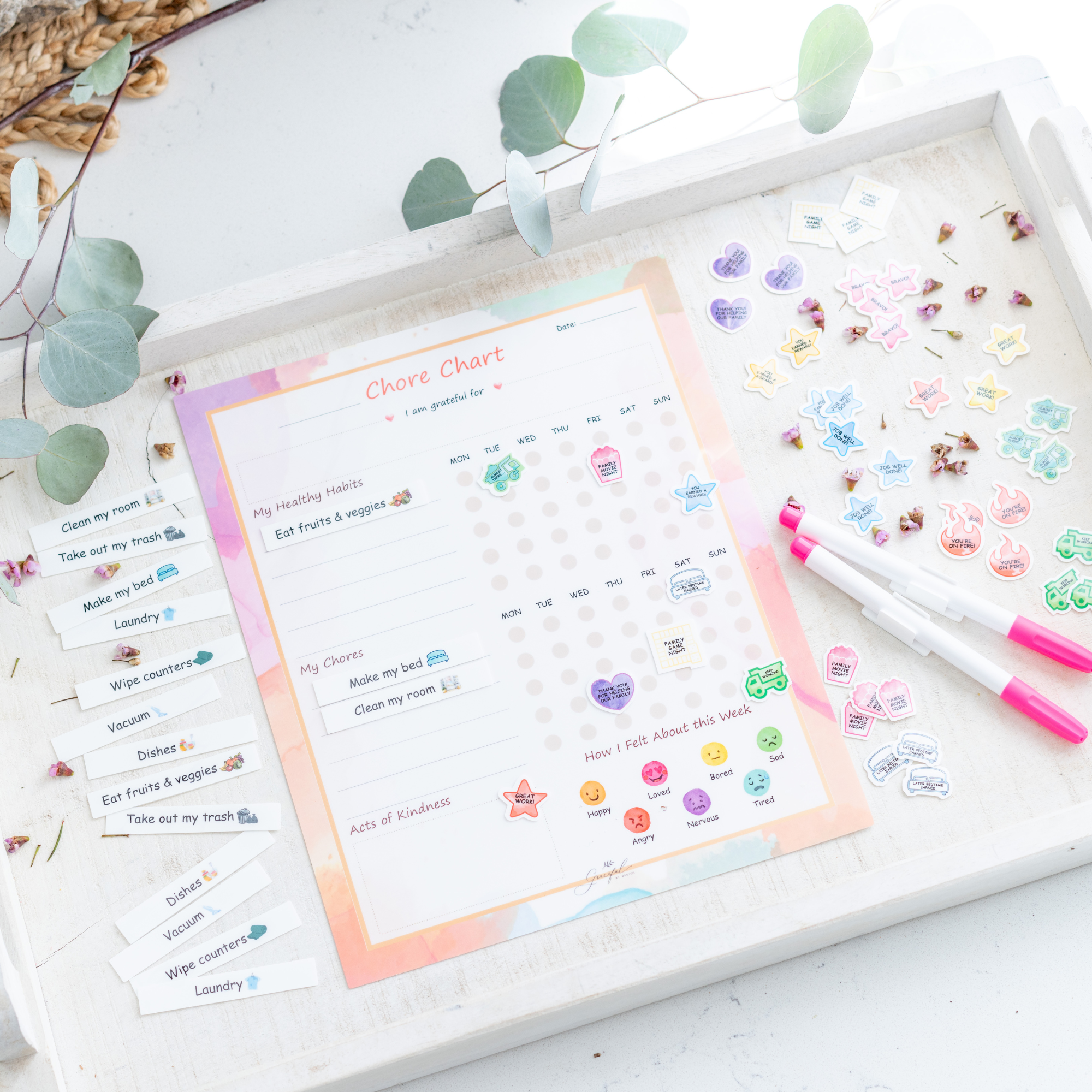 Flexible Stick Weekly Chore Chart and Emotion Tracker for Kids - For Any Flat Surface