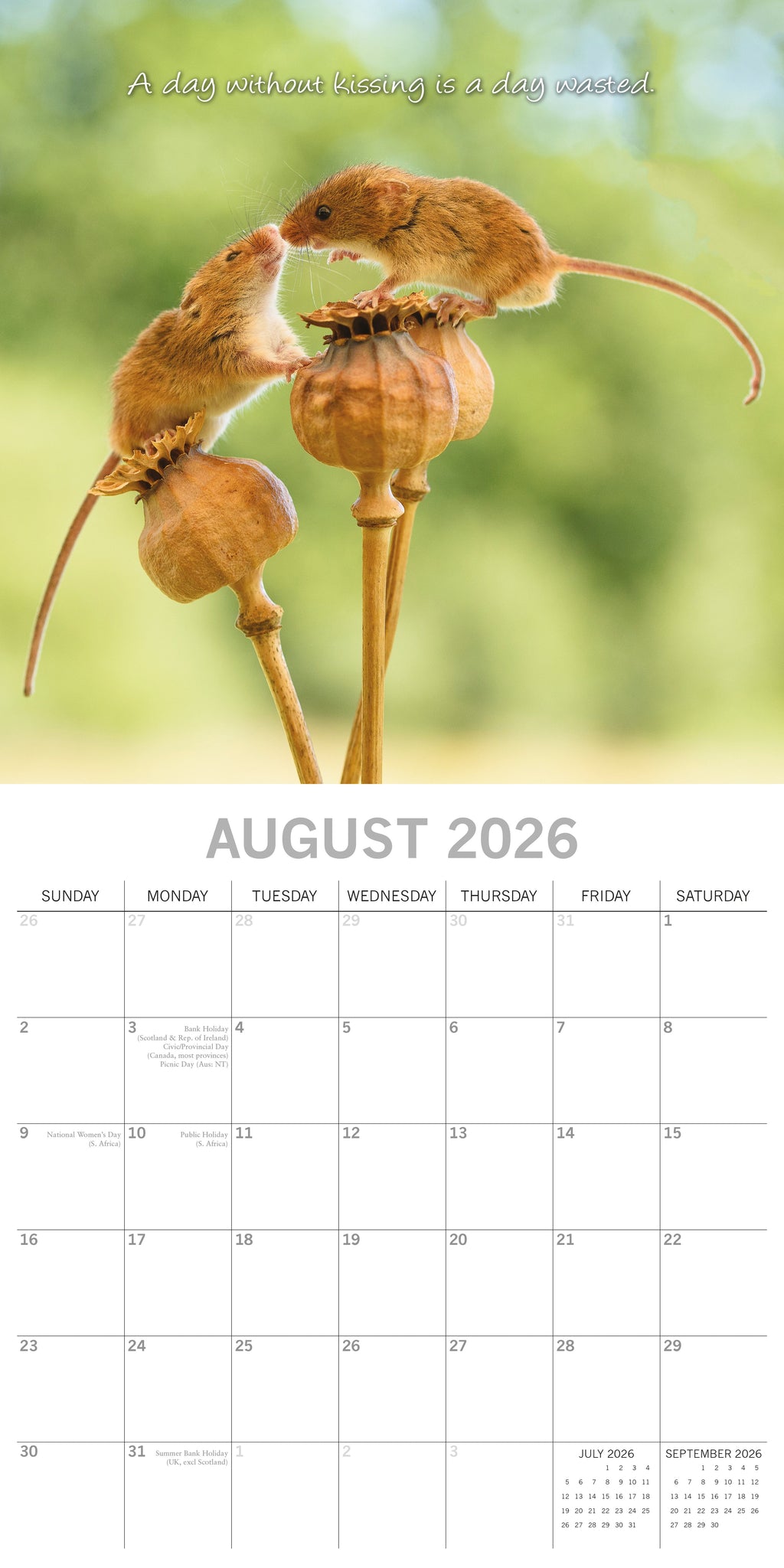 💋Kisses Square Wall Calendar 2026