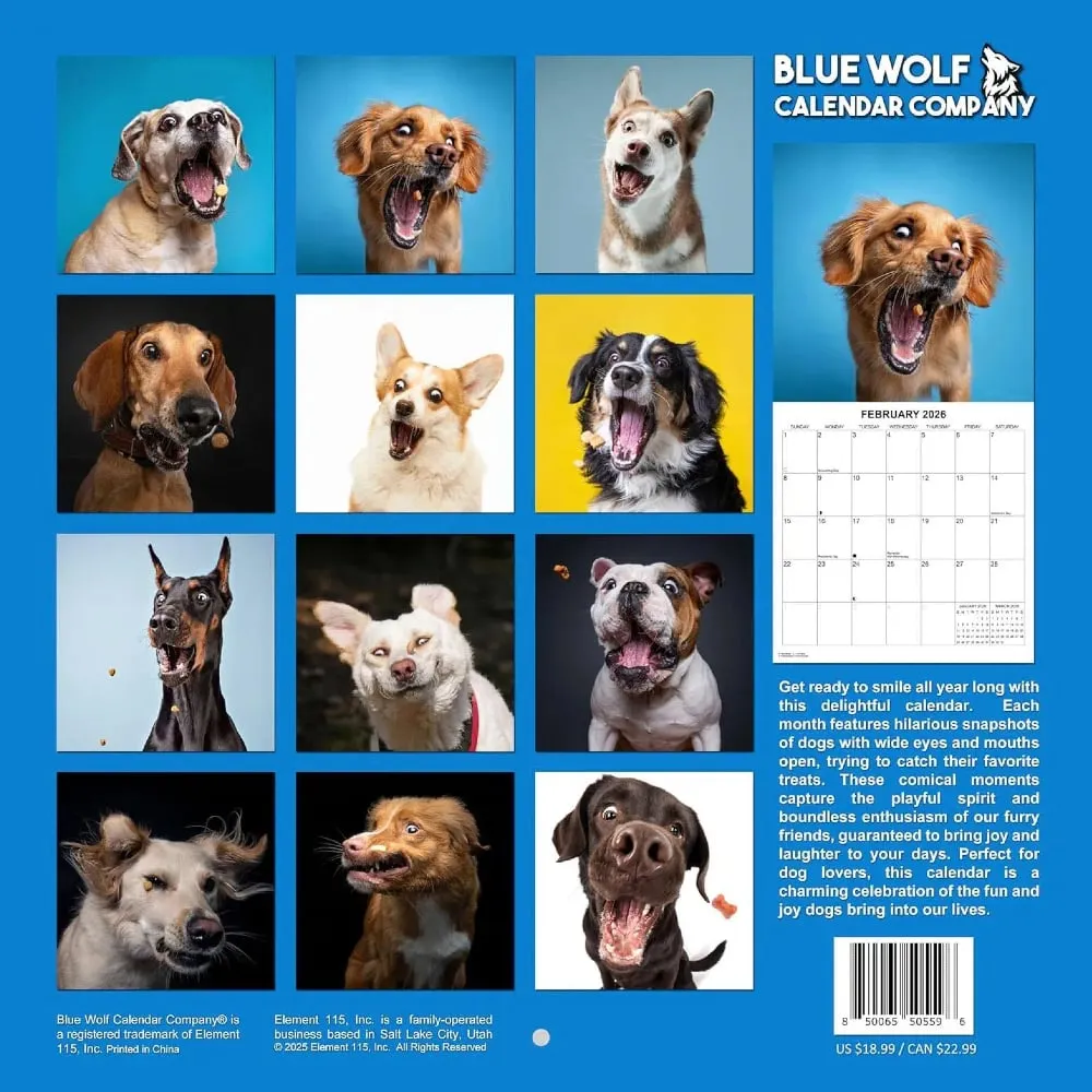 2026 Treat Time Monthly Wall Calendar - Dogs Making Funny Faces Trying to Catch Treats