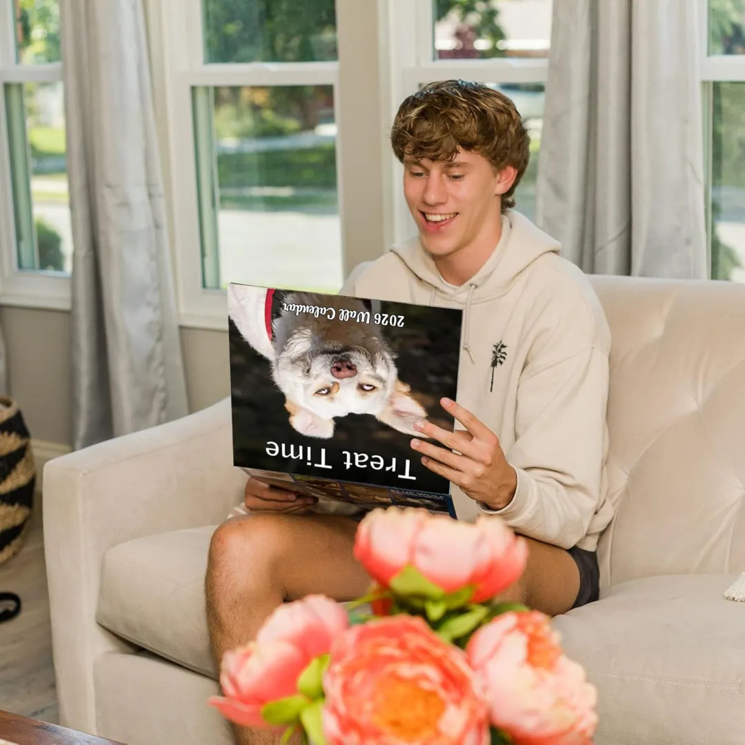 2026 Treat Time Monthly Wall Calendar - Dogs Making Funny Faces Trying to Catch Treats