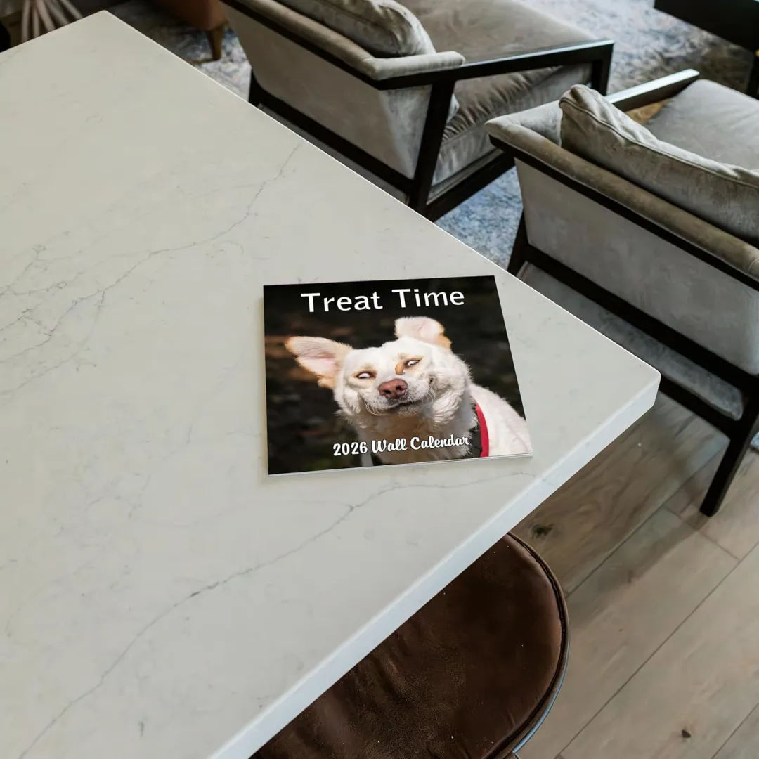 2026 Treat Time Monthly Wall Calendar - Dogs Making Funny Faces Trying to Catch Treats