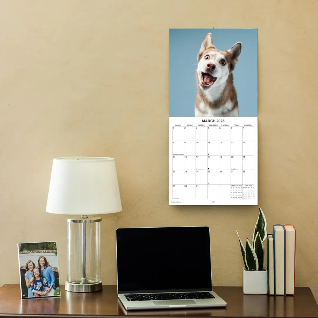 2026 Treat Time Monthly Wall Calendar - Dogs Making Funny Faces Trying to Catch Treats
