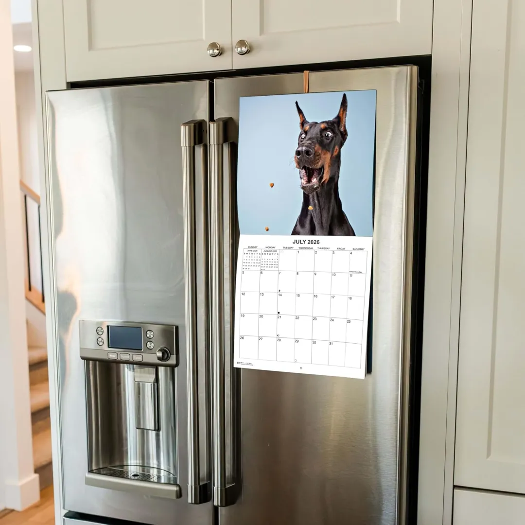 2026 Treat Time Monthly Wall Calendar - Dogs Making Funny Faces Trying to Catch Treats