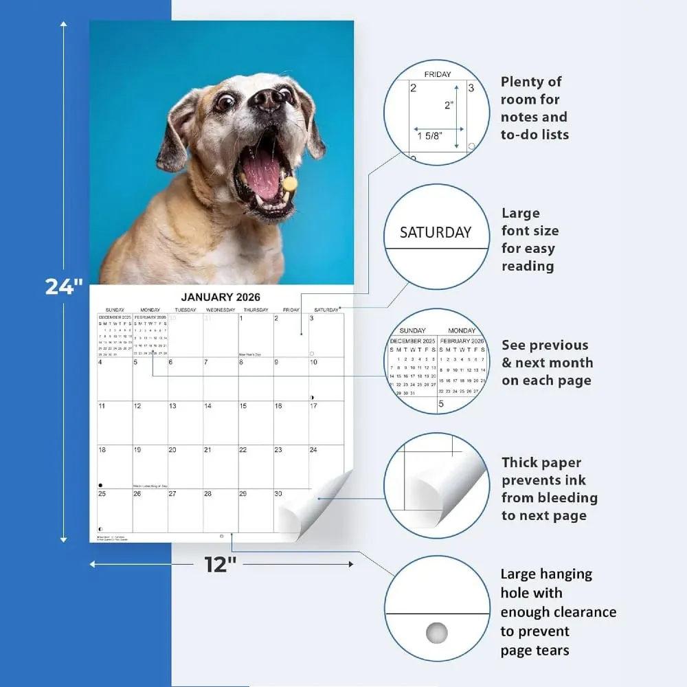 2026 Treat Time Monthly Wall Calendar - Dogs Making Funny Faces Trying to Catch Treats