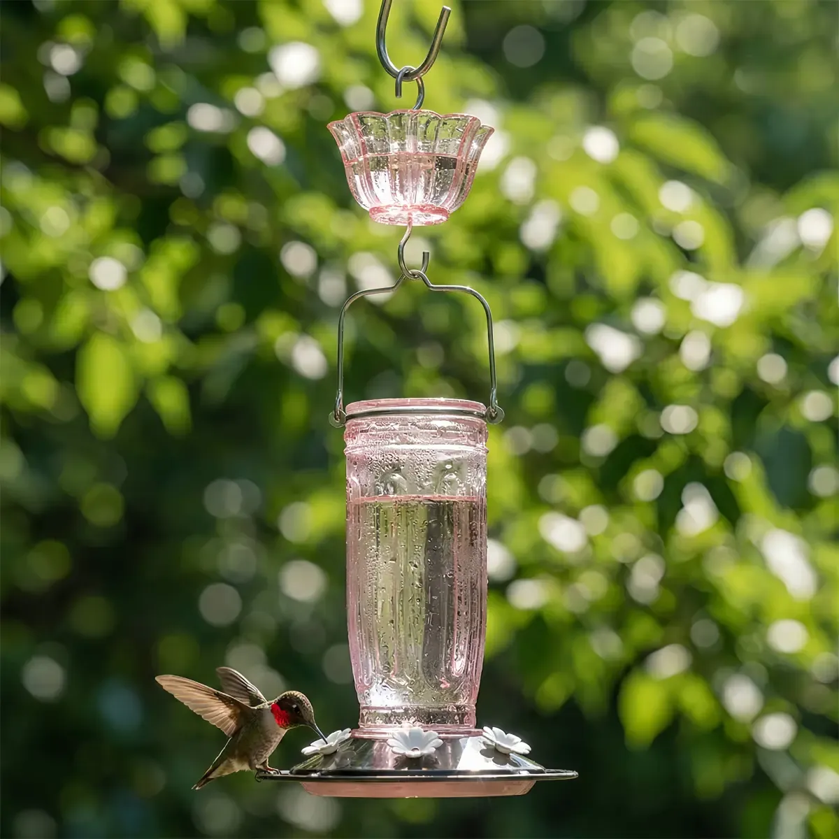 Glass Hummingbird Feeder With Ant Moat