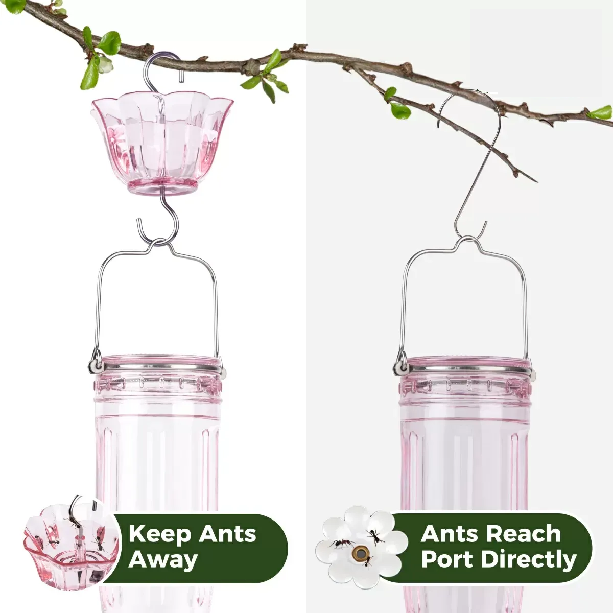 🐦 Hummingbird Glass Nectar Feeder