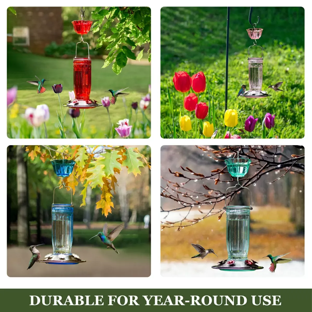 🐦 Hummingbird Glass Nectar Feeder