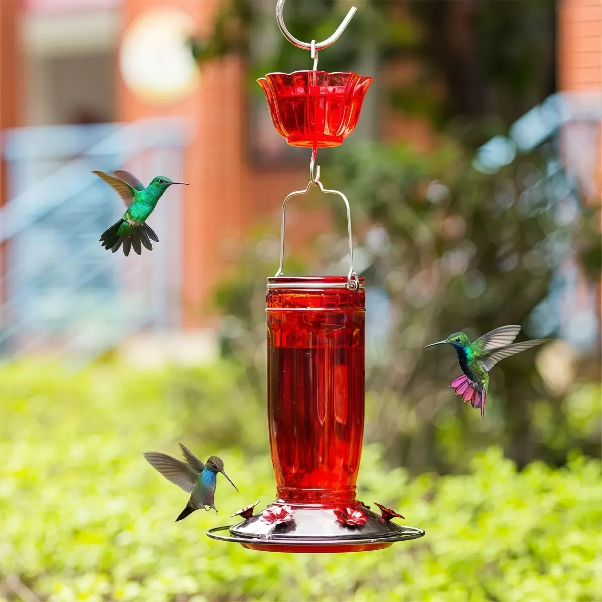 Glass Hummingbird Feeder With Ant Moat