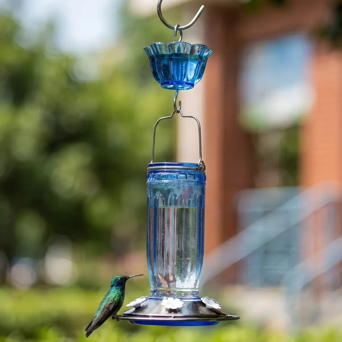 Glass Hummingbird Feeder With Ant Moat