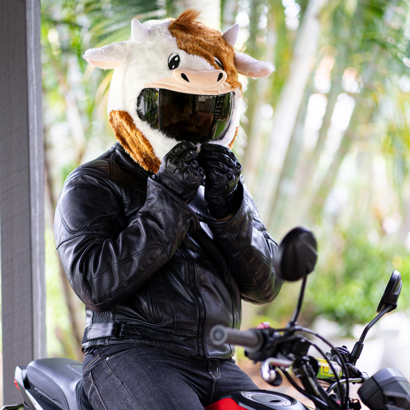 Motorcycle Helmet Cover - Cow