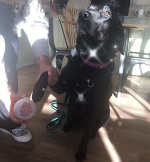 🥰DIY Christmas Baubles🤶🏻