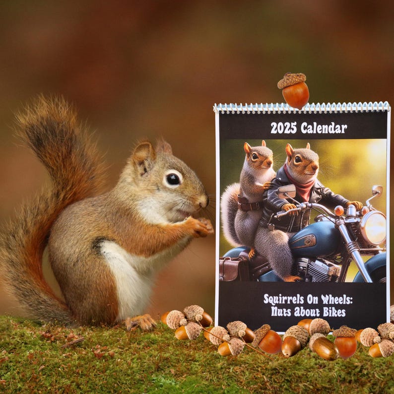 🐿️2025 Squirrels On Wheels Wall Calendar