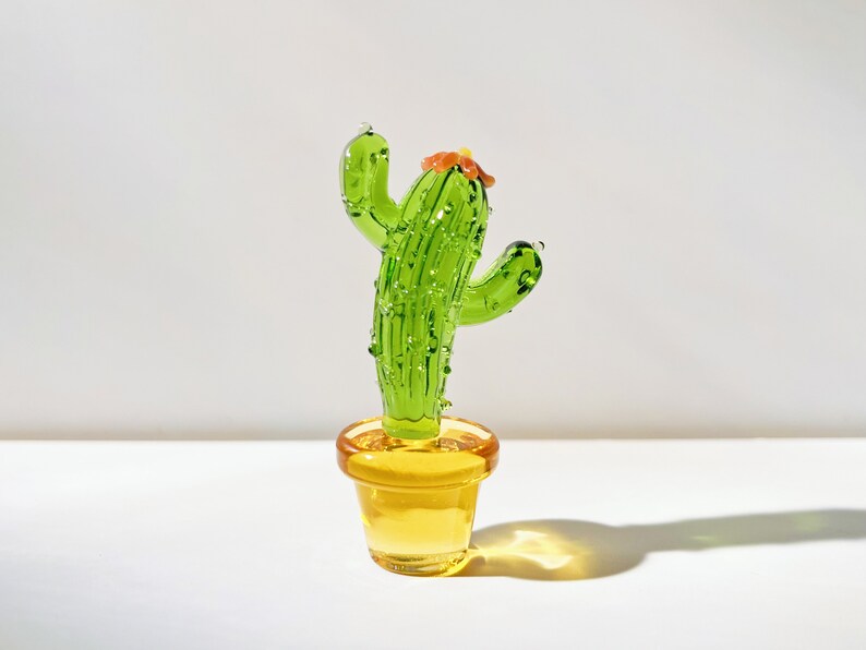 🌵Mini Glass Cactus Set