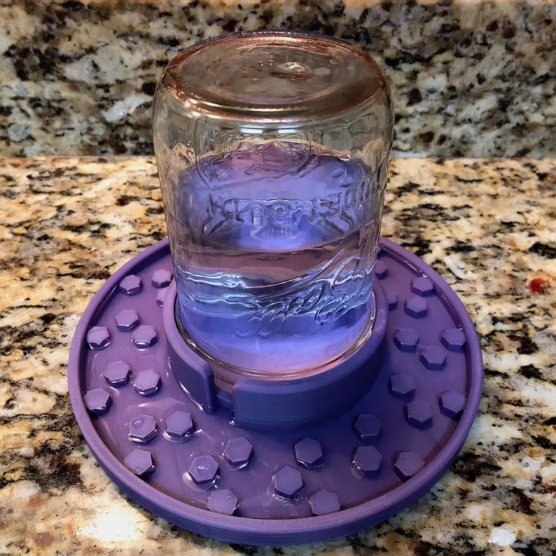 🐝Mason Jar Bee Feeder and Waterer