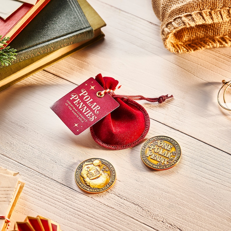 North Pole Polar Good Behaviour Coins Santa Coins