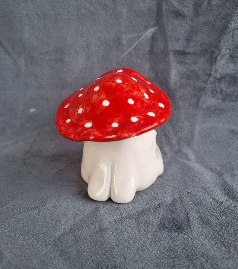 🍄Weird Mushroom🍄