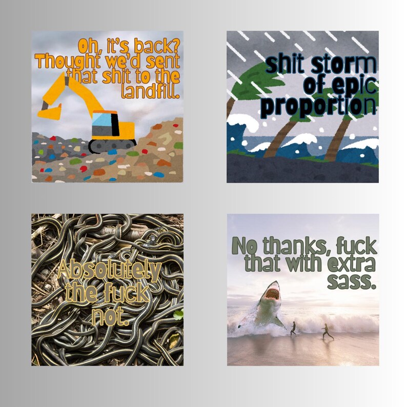 Sh*t's F*ucked. Let's go😂What the Fuck Calendar