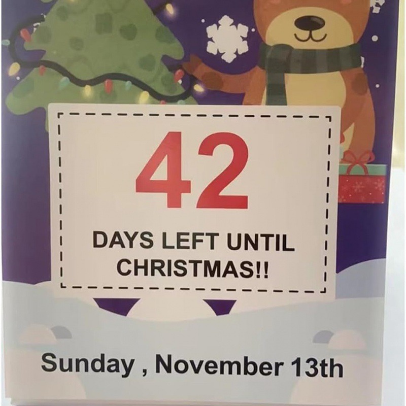 🎄100 Days of Christmas Countdown Calendar 2024