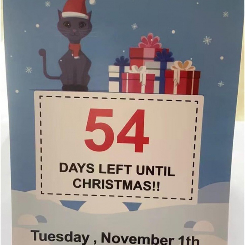 🎄100 Days of Christmas Countdown Calendar 2024