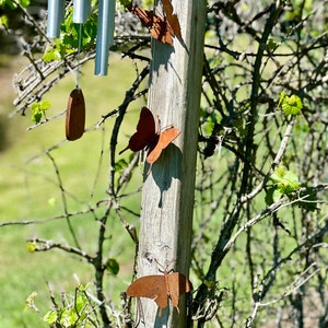 ✨3D Butterfly Wall Artwork
