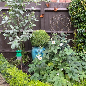 ✨3D Butterfly Wall Artwork