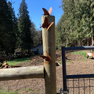 ✨3D Butterfly Wall Artwork
