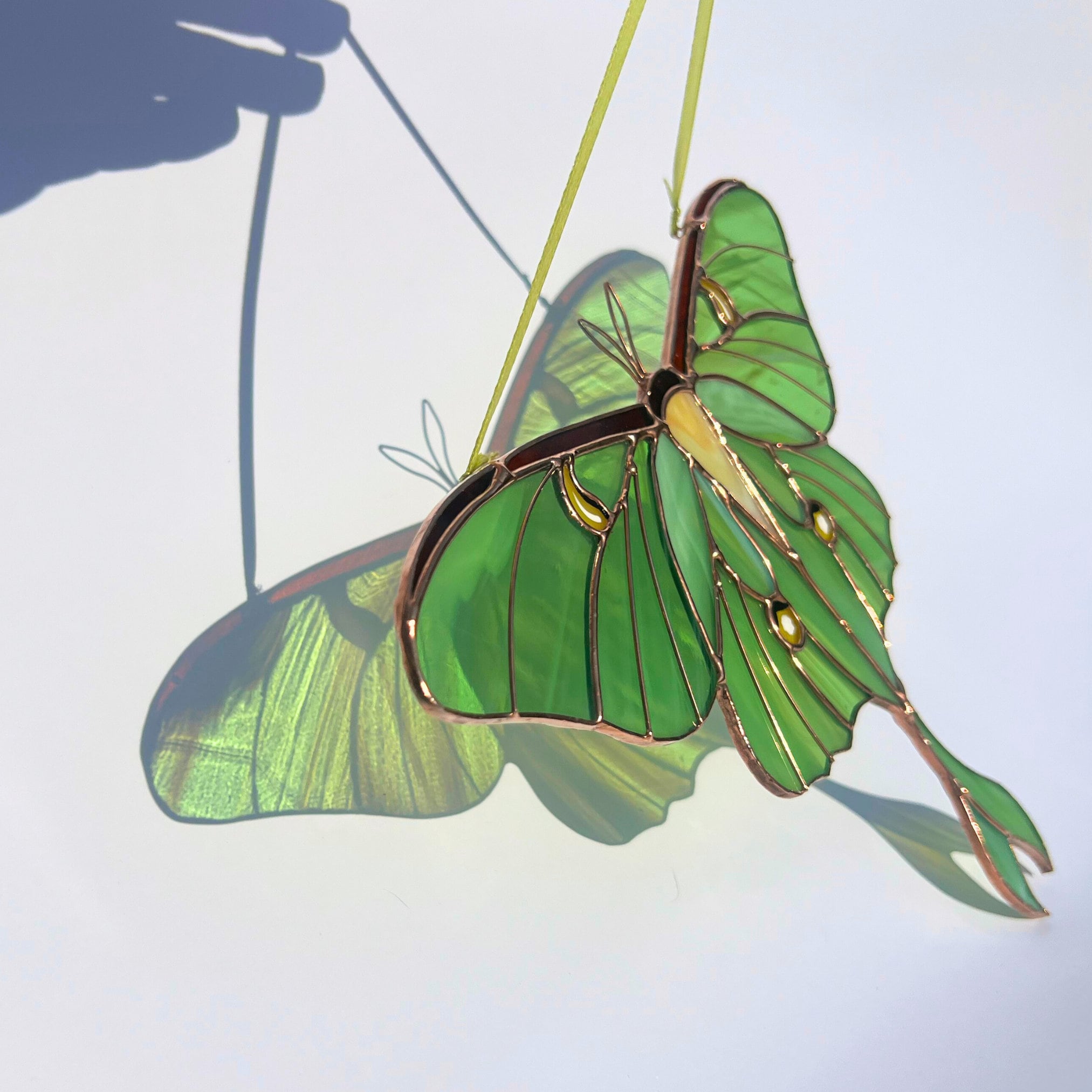🔥Luna Moth Butterfly Suncatcher Window Hangings