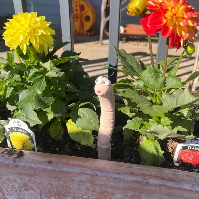 Thirsty Worm Moisture Monitor for Your Potted Plant (2-Pack)