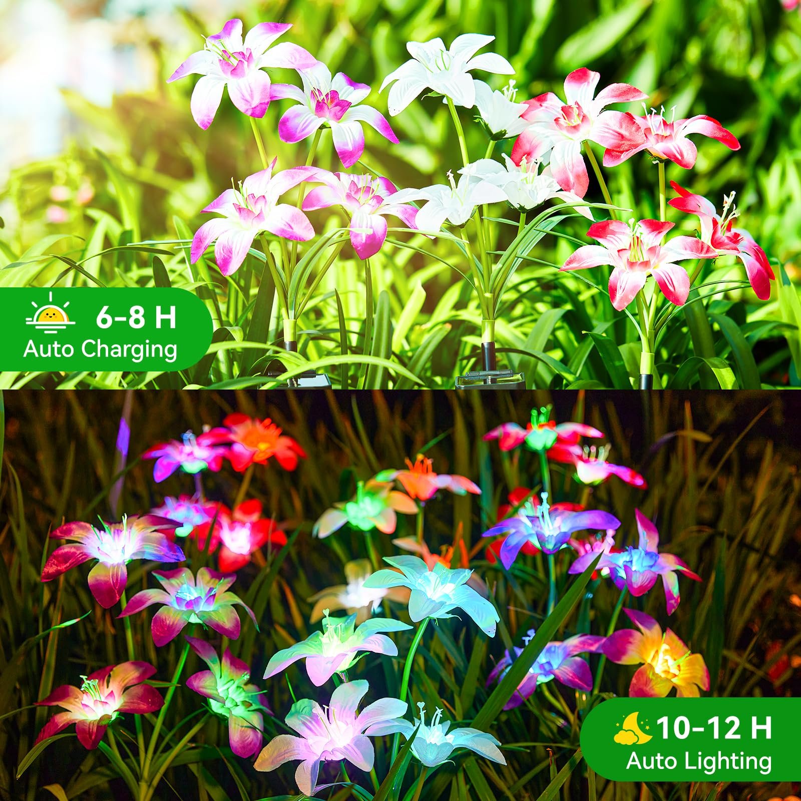 Solar-Powered  Blooming Lily Flowers Lights
