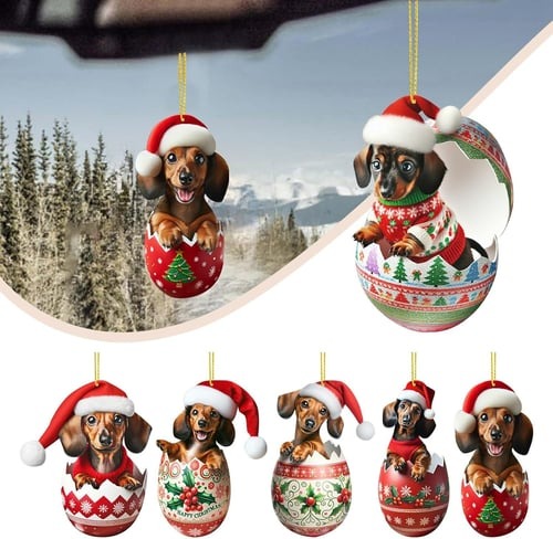 🎅2024 Christmas Dachshund Advent Calendar🎁