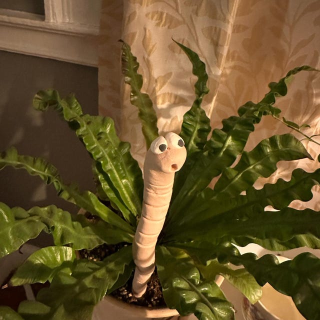 Thirsty Worm Moisture Monitor for Your Potted Plant (2-Pack)