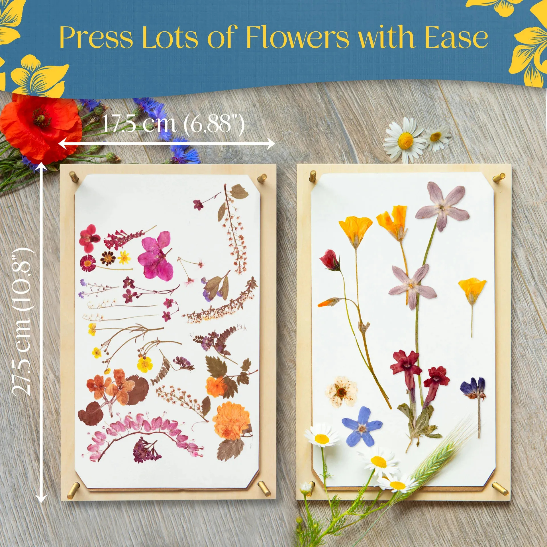🌸Wooden Flower Press Kit - 🎁Great Gift For Arts and Crafts Lovers