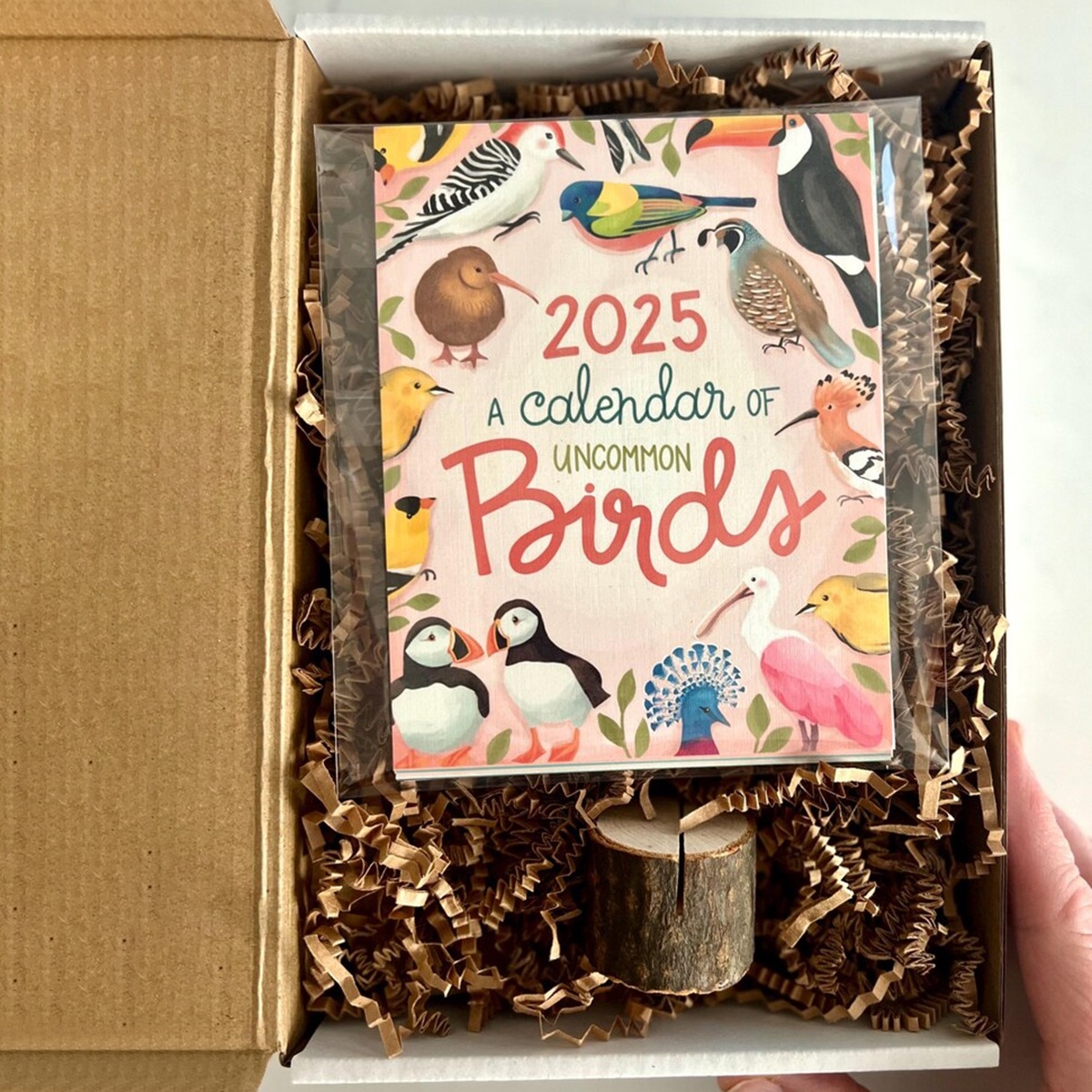 🐦2025 Hand Drawn Bird-ThemedDesk Calendar