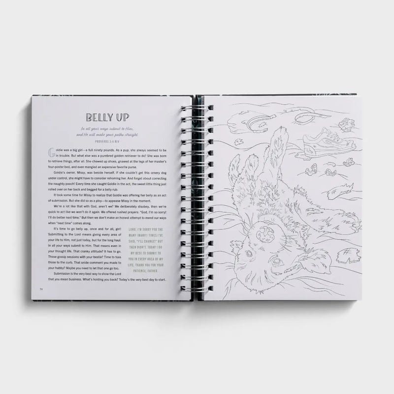 ➕️Be Still & Know: Devotional Coloring Book (Hardcover)