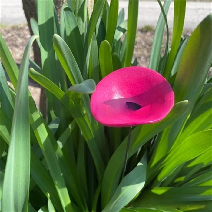 🐝Bee Cups for Garden