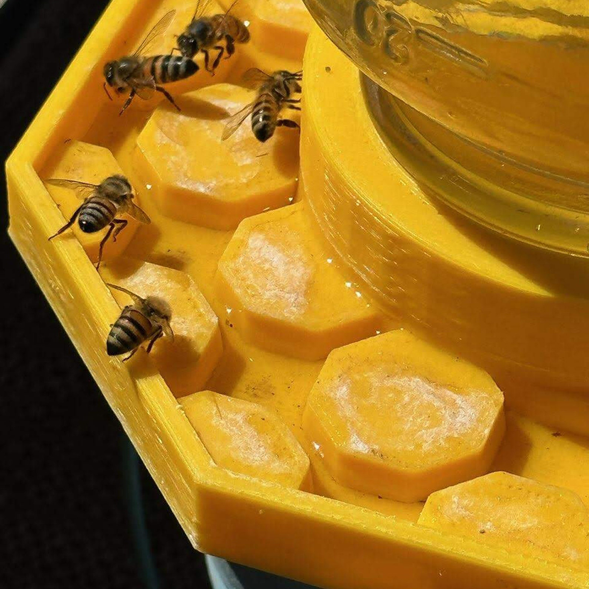 bee watering dish