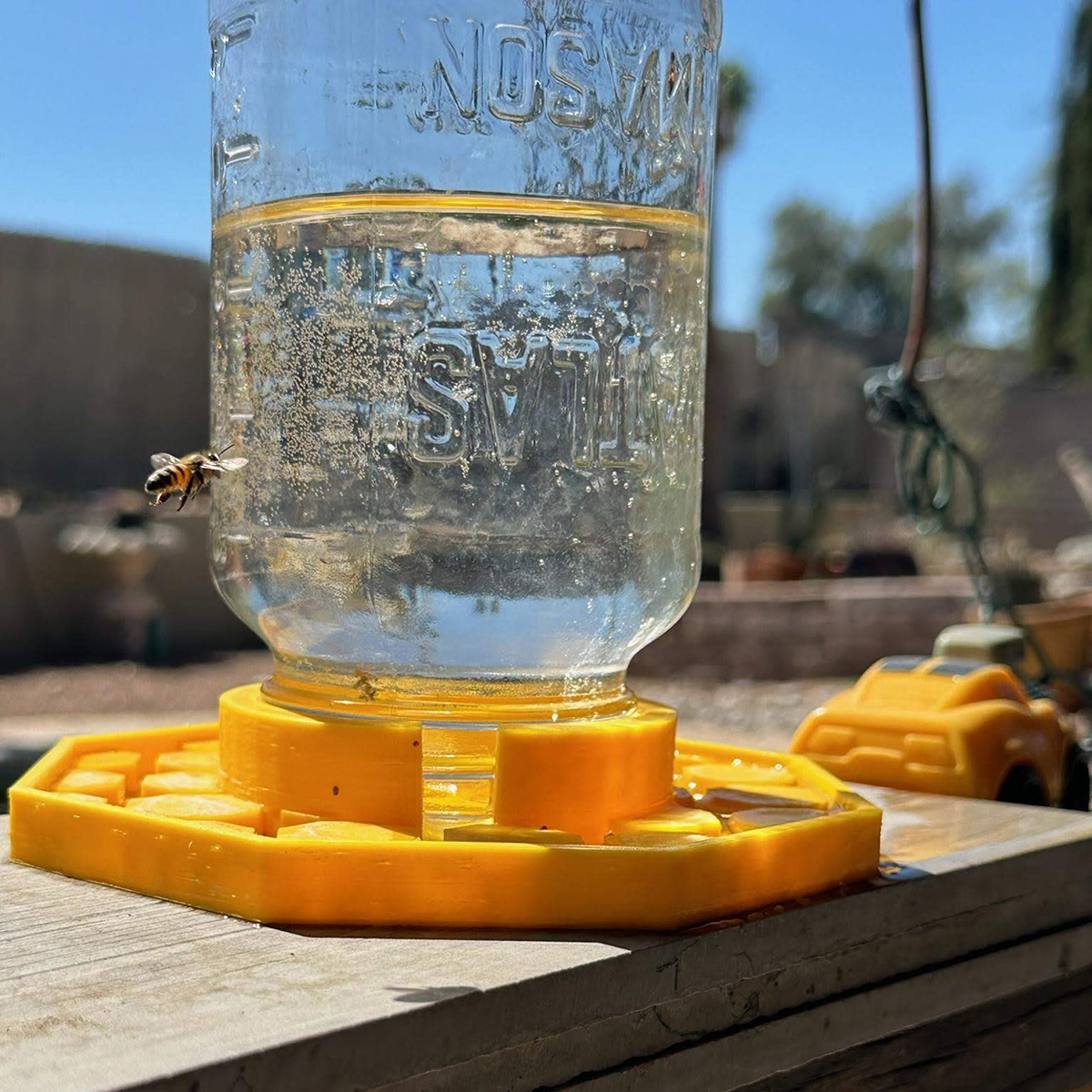 bee watering dish