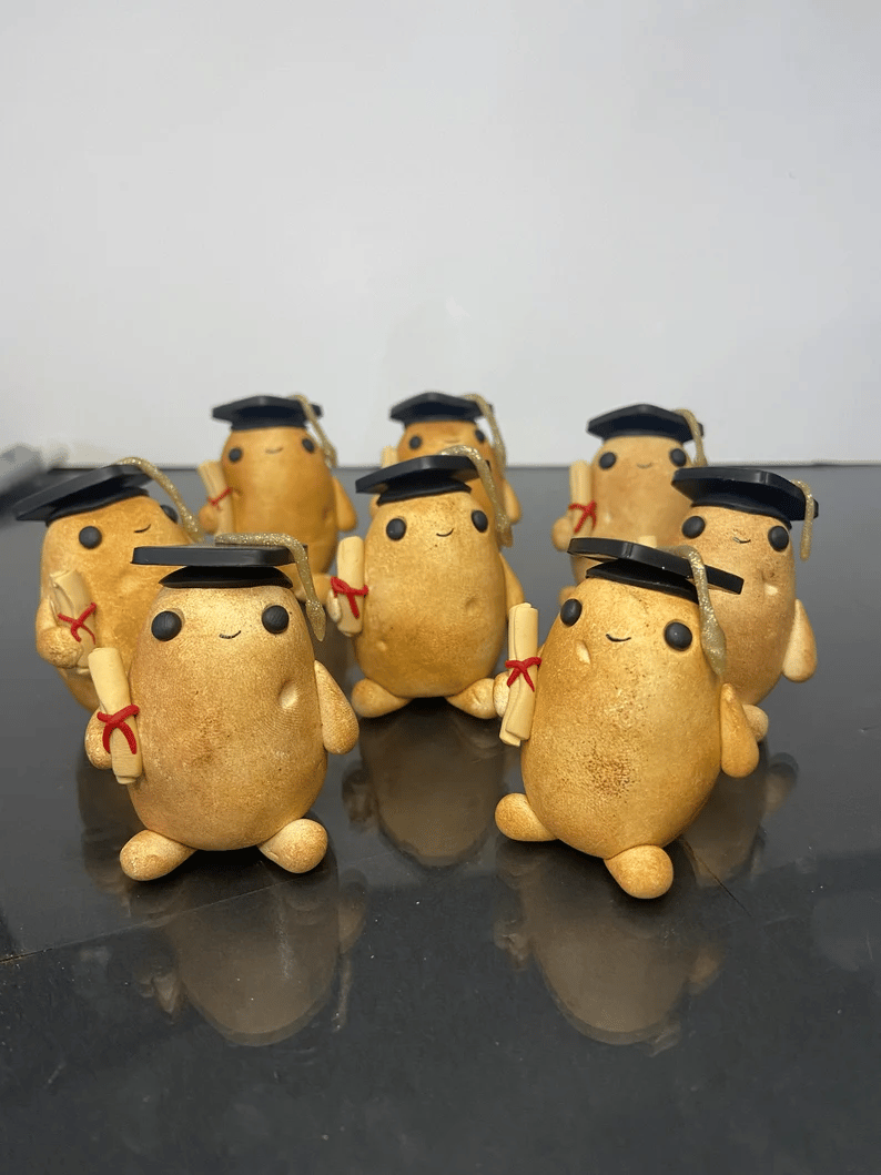 Emotional Support Gift-💖Miniature Pet Potato