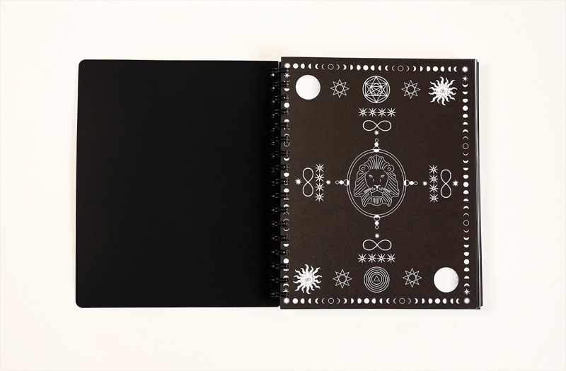 📚2025 Many Moons Lunar Planner