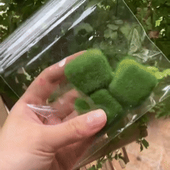 Three Little Grasses-Physical Squishy