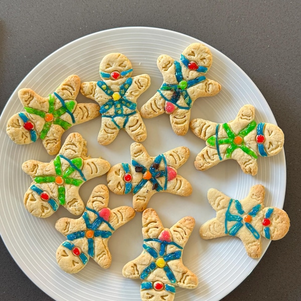 😍MATURE - BDSM Submissive Gingerbread Man🎁