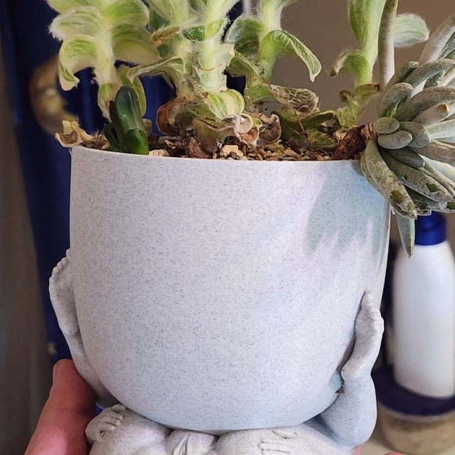 🤣Funny Naked Woman Pot
