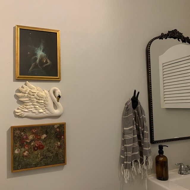 🖕Funny Middle Finger Hook😆