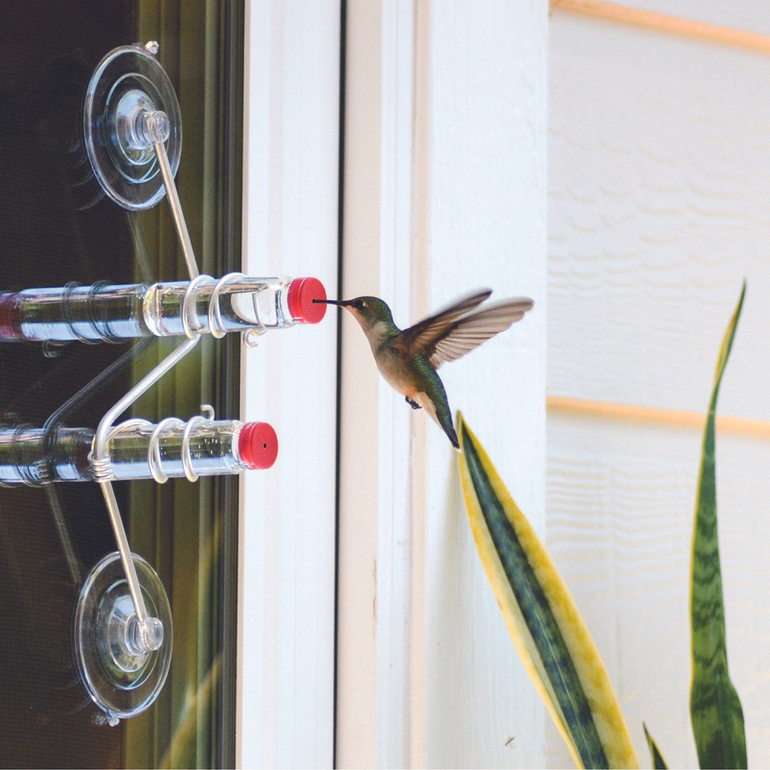 The Geo Feeder | Geometric Window Hummingbird Feeder