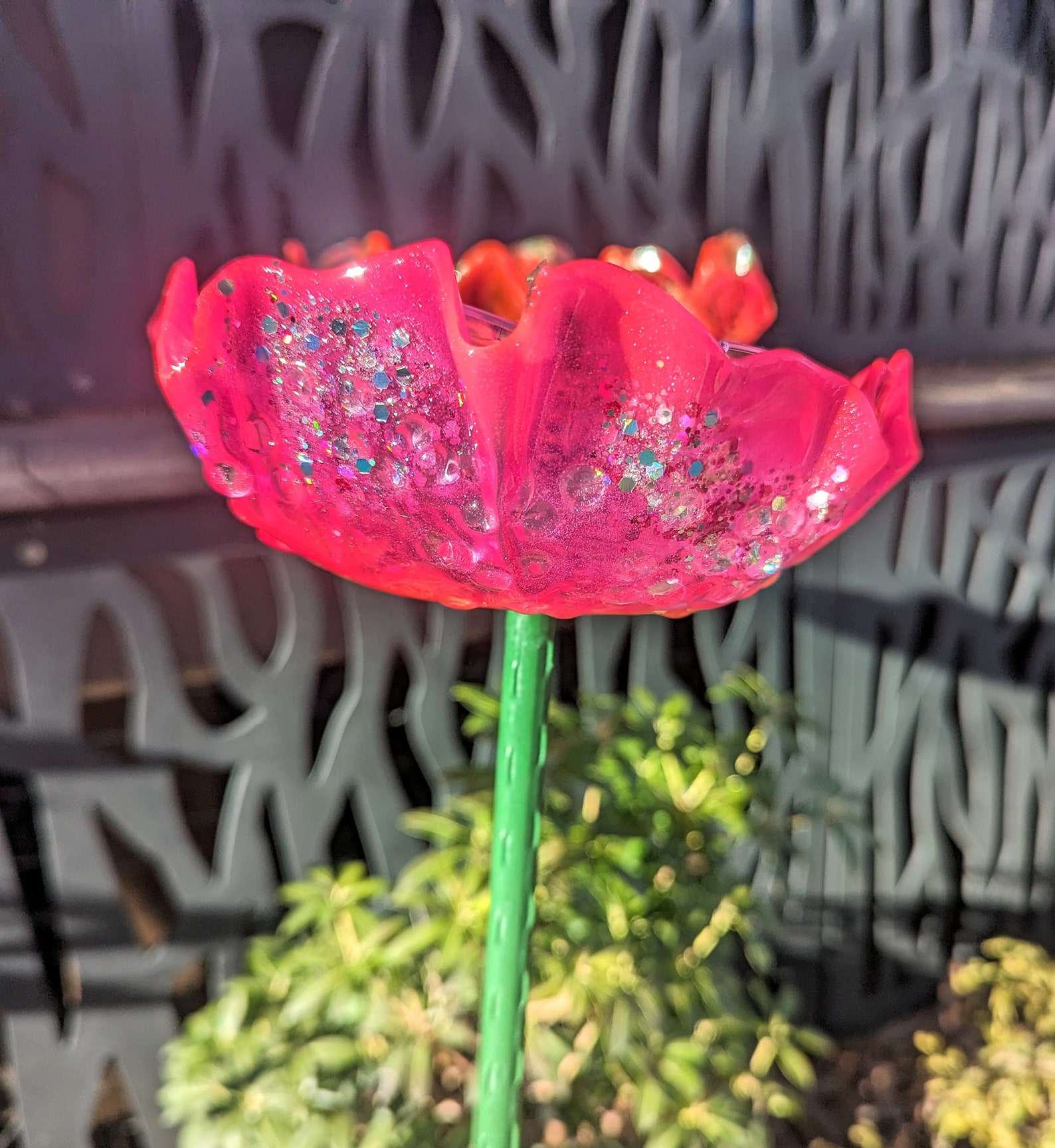 Bird feeder organic flower seed container