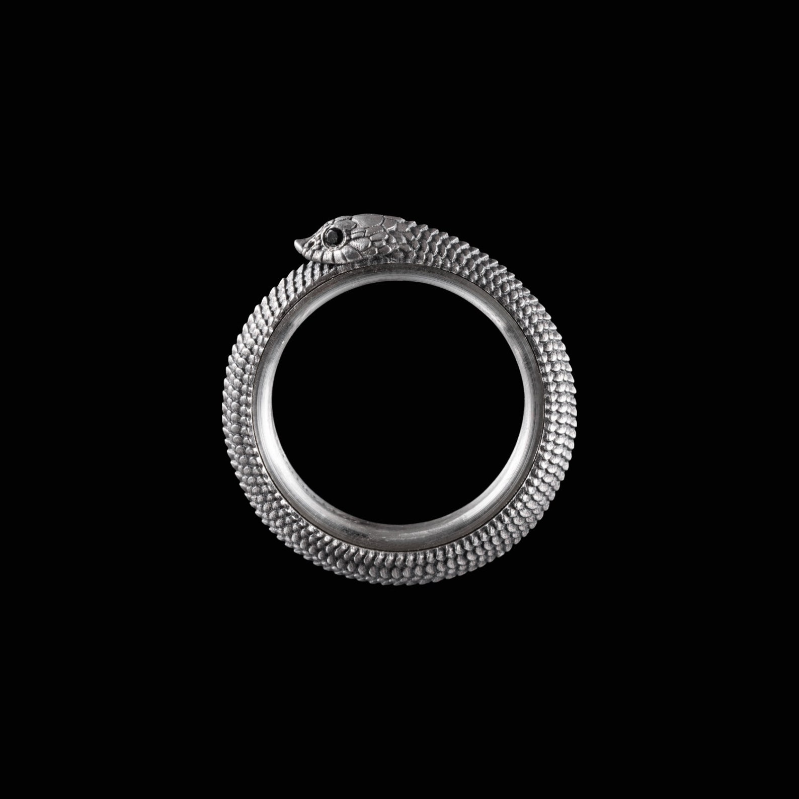 Ouroboros Spin Fidget Ring
